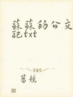 苏苏的公交车日记txt