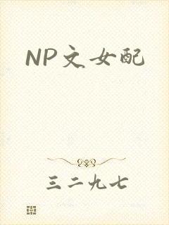 NP文女配