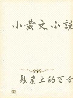 小黄文小说