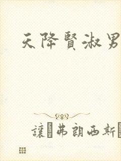 天降贤淑男小说