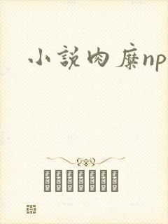 小说肉糜np