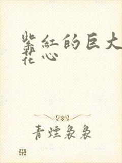 紫红的巨大顶开花心