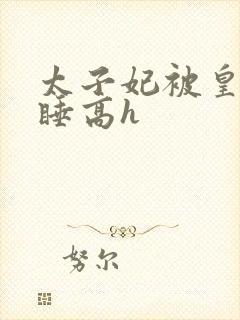 太子妃被皇上强睡高h