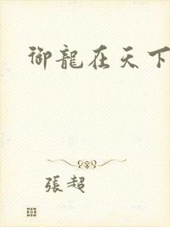 御龙在天下载