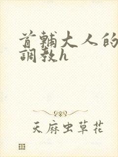 首辅大人的花式调教h