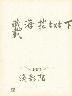 藏海花txt下载