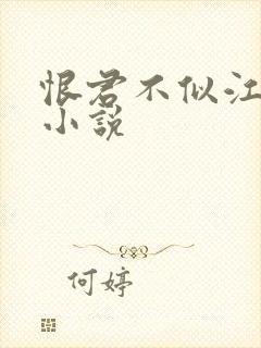 恨君不似江楼月小说