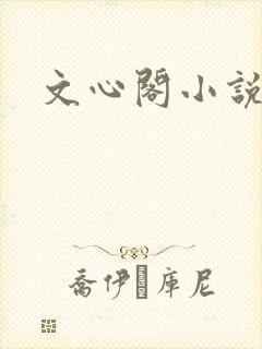 文心阁小说