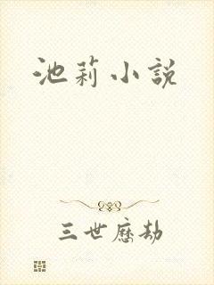 池莉小说