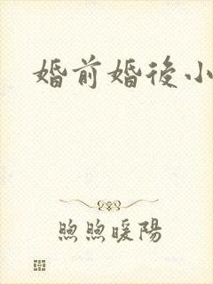 婚前婚后小说