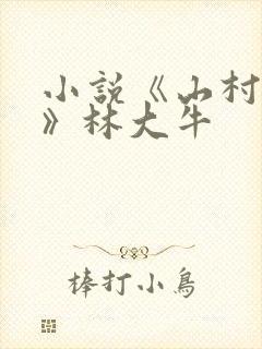 小说《山村情事》林大牛