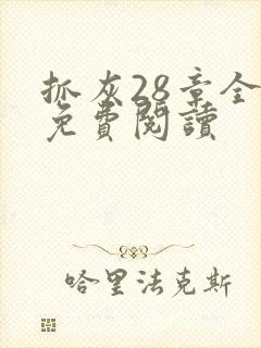 抓灰28章全部免费阅读