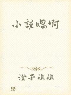 小说嗯啊