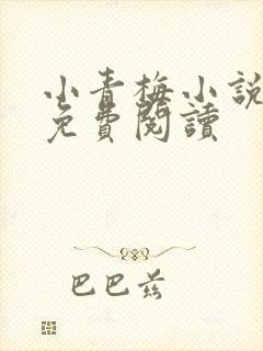 小青梅小说全文免费阅读