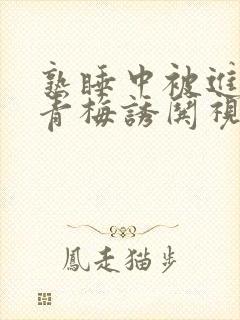 熟睡中被进了H青梅诱哄视频