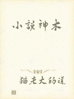 小说神木
