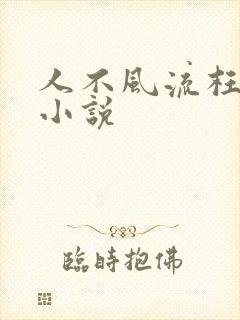 人不风流枉少年小说