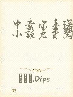 中意你秦琛苏沫小说免费阅读