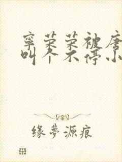 宁荣荣被唐三桶叫个不停小说