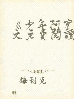 《少年阿宾》全文免费阅读