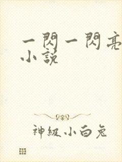 一闪一闪亮星星小说