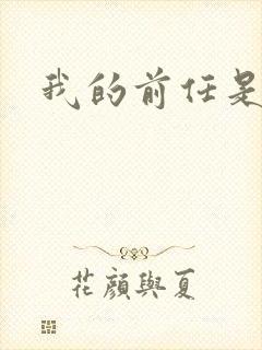 我的前任是极品