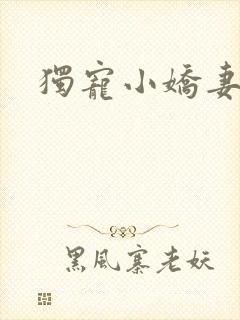 独宠小娇妻