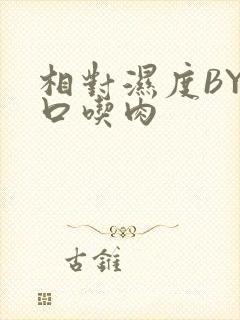 相对湿度BY大口吃肉