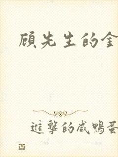 顾先生的金丝雀