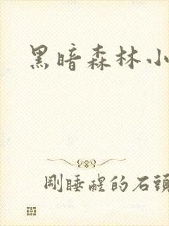 黑暗森林小说