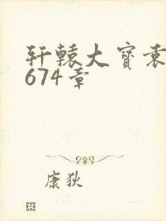 轩辕大宝袁雪妃674章