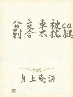 公交车被cao到合不拢腿视频