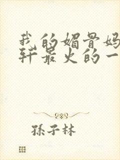 我的媚骨妈妈林轩最火的一句