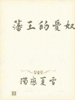 藩王的爱奴