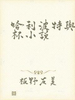 哈利波特与火焰杯小说