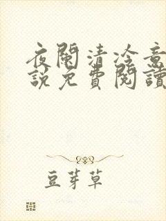 夜阑清冷意欢小说免费阅读