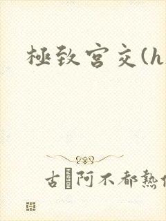 极致宫交(h)