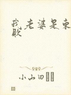 我老婆是东方不败