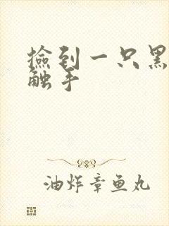 捡到一只黑心小触手