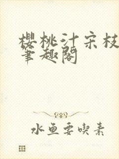 樱桃汁宋枝江野笔趣阁