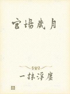 官场岁月
