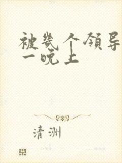 被几个领导玩弄一晚上