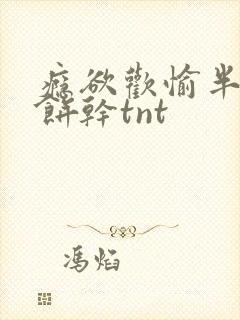 瘾欲欢愉半块小饼干tnt