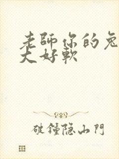 老师你的兔子好大好软