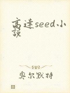高达seed小说