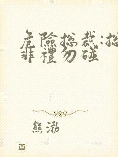 危险总裁:总裁非礼勿碰