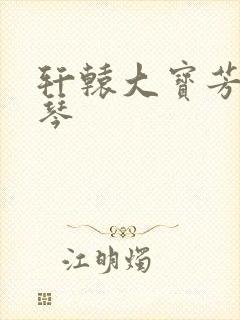 轩辕大宝芳菲雅琴