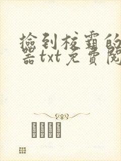 捡到校霸的遥控器txt免费阅读by阳阳