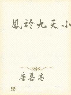 凤于九天小说