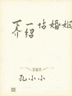 下一站婚姻剧情介绍